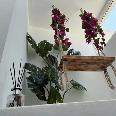 Urban Lägenhet